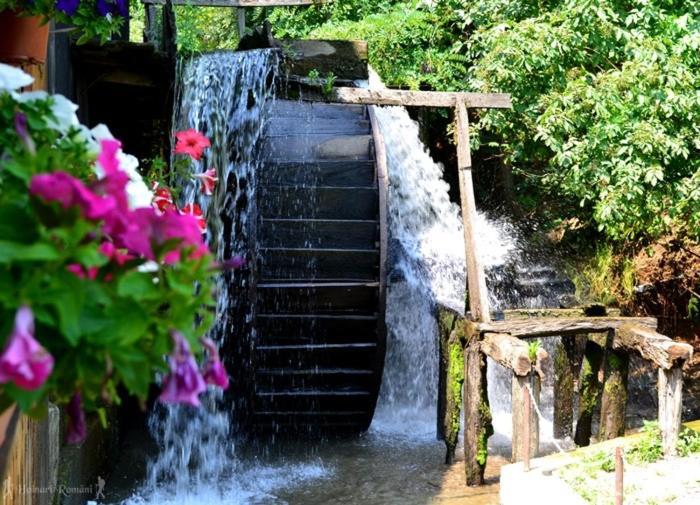 Valea Salbatica Hotel Sinca Noua Luaran gambar