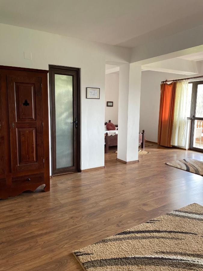 Valea Salbatica Hotel Sinca Noua Luaran gambar
