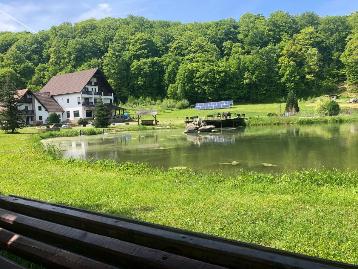 Valea Salbatica Hotel Sinca Noua Luaran gambar