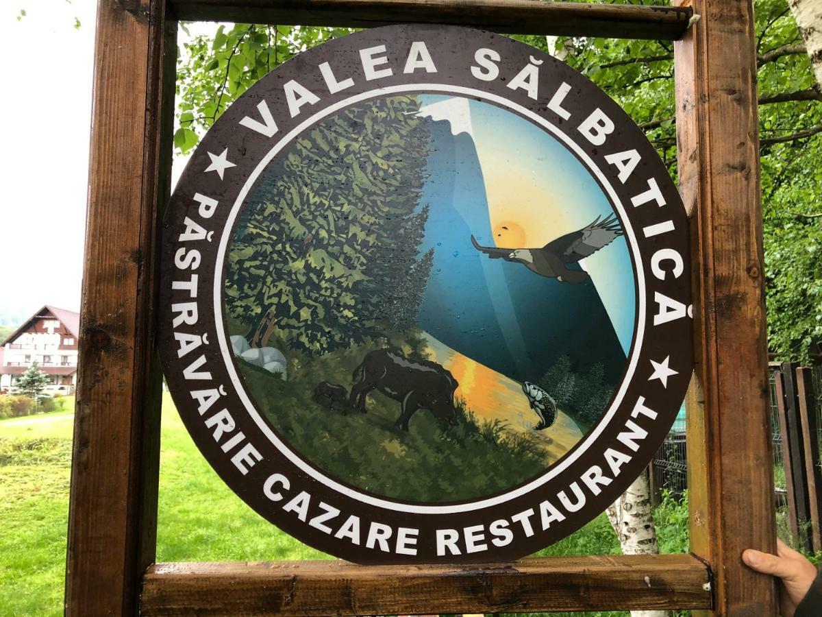 Valea Salbatica Hotel Sinca Noua Luaran gambar