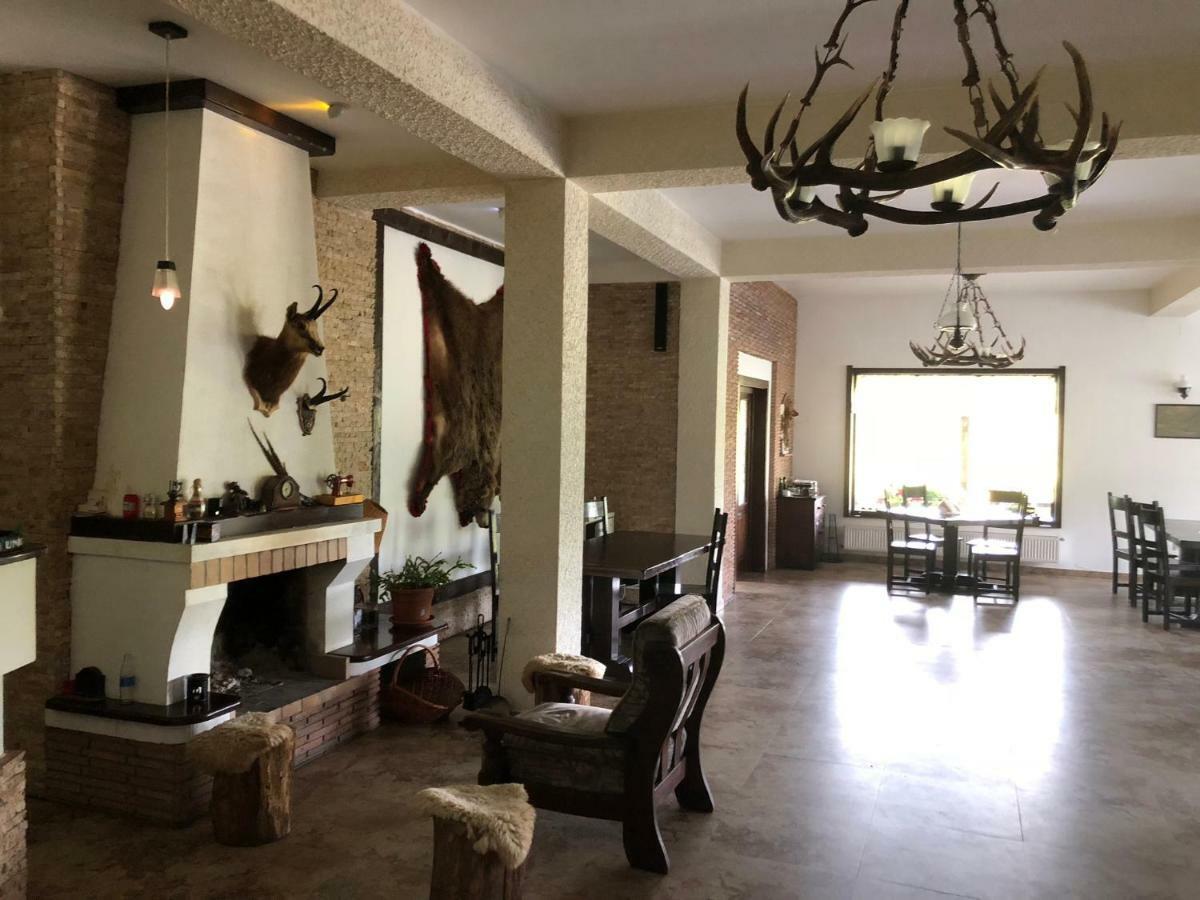 Valea Salbatica Hotel Sinca Noua Luaran gambar